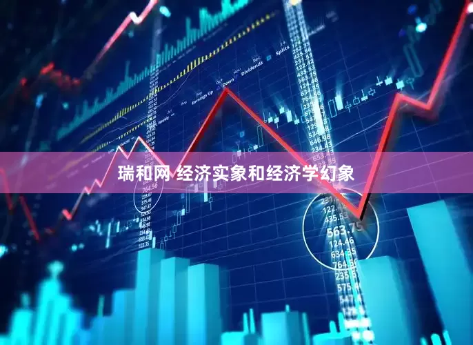 瑞和网 经济实象和经济学幻象