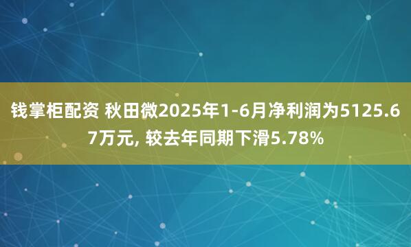 钱掌柜配资 秋田微2025年1-6月净利润为5125.67万元, 较去年同期下滑5.78%
