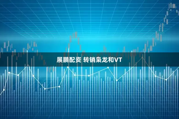 展鵬配资 转销枭龙和VT